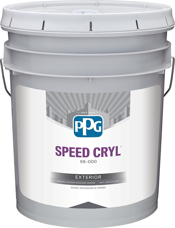 PAINT EX LTX SPDCRY FLT WHT 5G