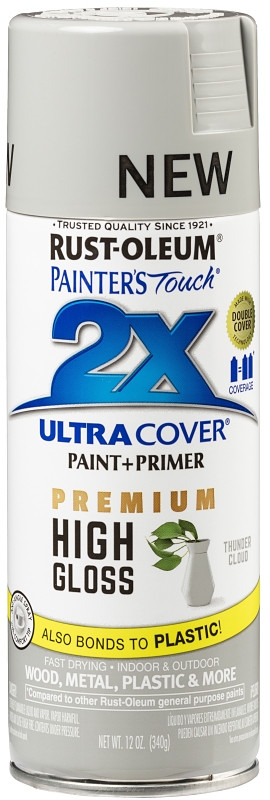 PAINT SPRAY HGLS THUNDER CLOUD