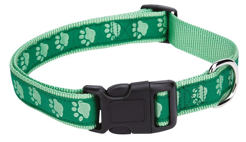 PAWPRINT COLLAR TT GRN 10-16IN