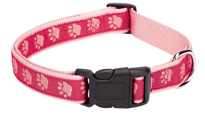 PAWPRINT COLLAR TT PNK 14-20IN