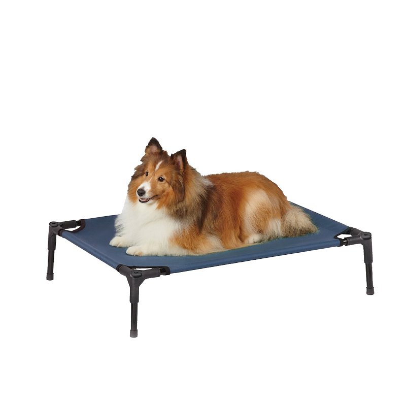 PET COT ELEVATED BLUE MEDIUM  
