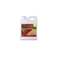 PRO-TECH WOOD STRIPPER STP1 1G