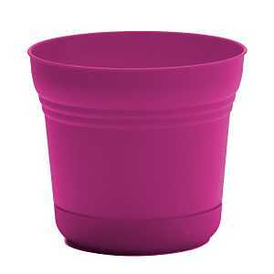 SATURN PLANTER FUSCHIA 5IN    