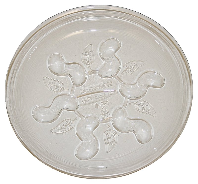 SAUCER PLUS HD PLANT 8IN      