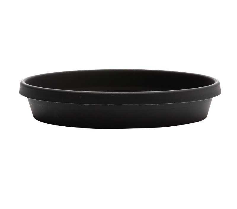 SAUCER TERRA BLACK 12IN       