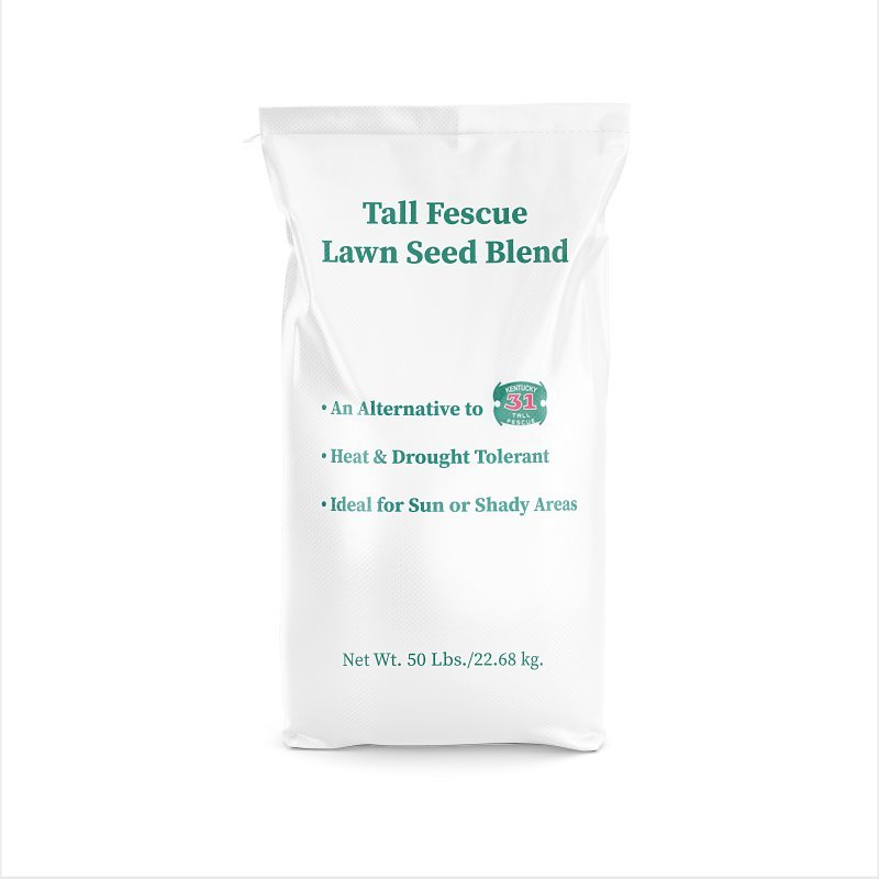 SEED GRASS TALL FESCUE 50LB   