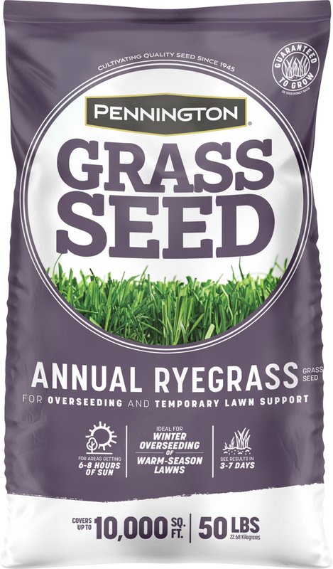 SEED GRS ANNUAL RYEGRASS 50LB 