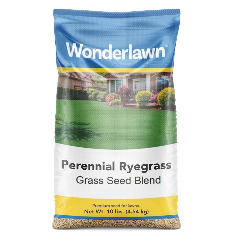 SEED GRS PERENNIAL RYEGRS 10LB