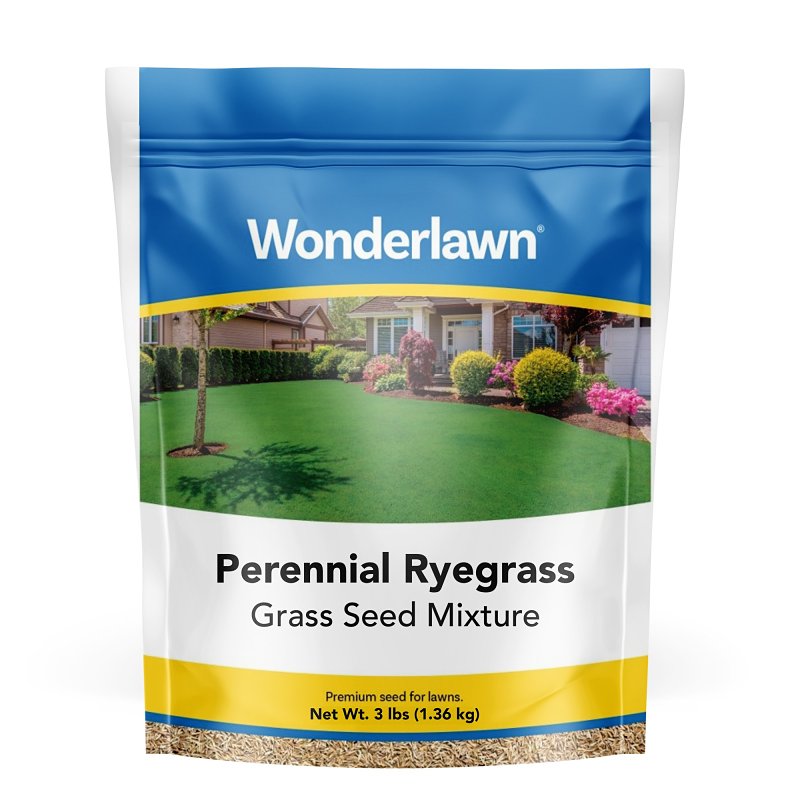 SEED GRS PERENNIAL RYEGRS 3LB 