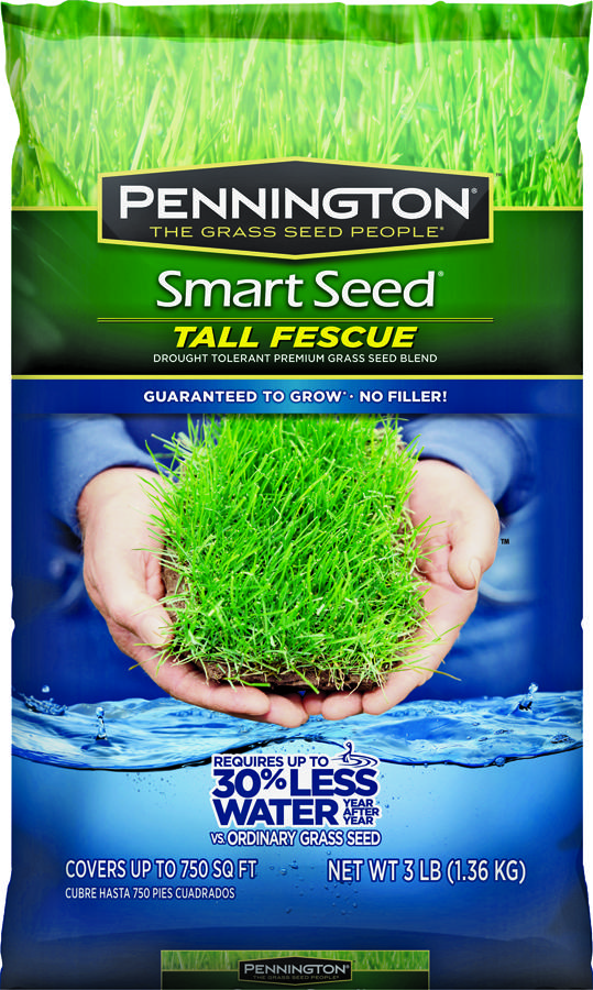 SEED/TALL FESCUE BLEND 3#     