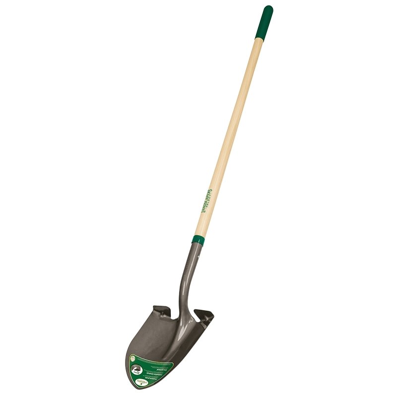 SHOVL RND PT LACQ ASH HDL 48IN
