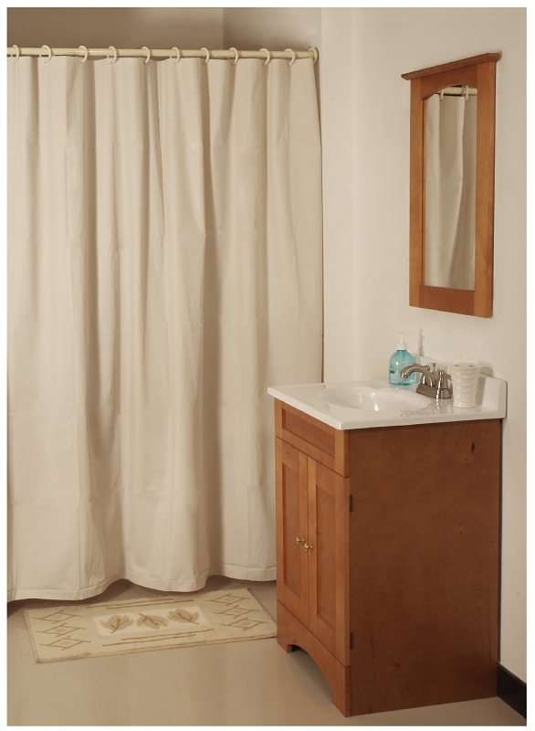 SHOWER CURTAIN VINYL BGE 70X72