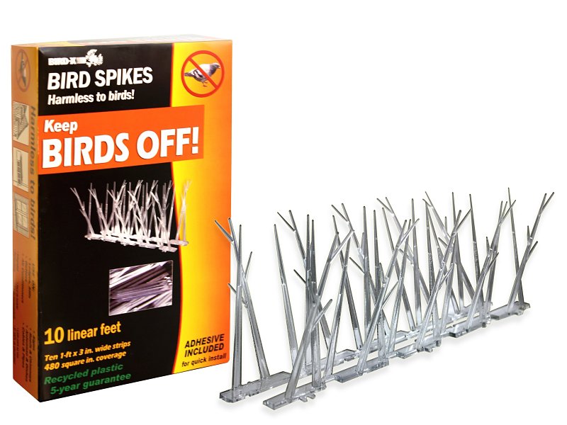SPIKES BIRD PLASTIC 10FT      