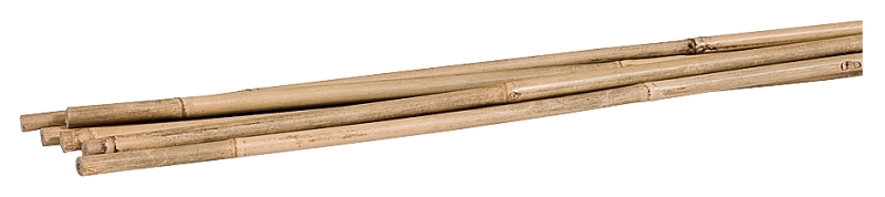 STAKES BAMBOO NATURAL 6/BG 5FT