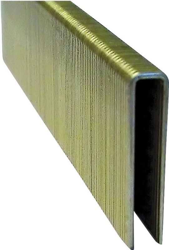 STAPLE FLOORING 1/4 X 1 18    