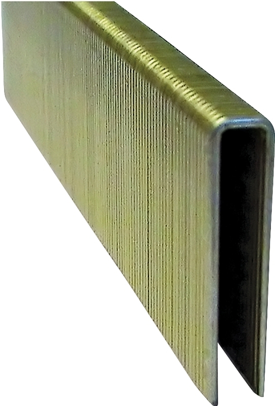 STAPLE FLOORING 1/4 X 1-1/4 18