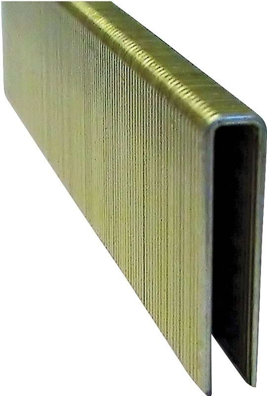 STAPLE FLOORING 1/4 X 7/8 18  