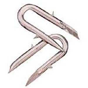 STAPLE LOCK GALV 8GA 8LB      