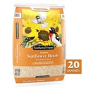 SUNFLOWER HEARTS FEATHERD 20LB