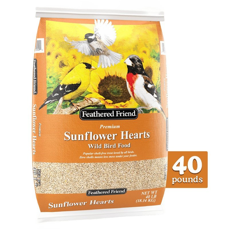 SUNFLOWER HEARTS FEATHERD 40LB
