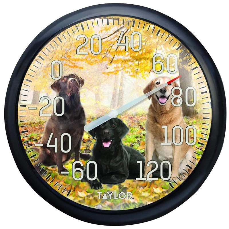 THERMOMETER OUTDOOR 13.5" LABS