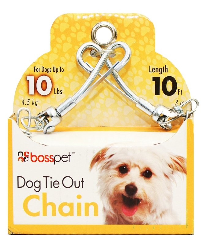 TIE OUT CHAIN LT WT 1.8MMX10FT