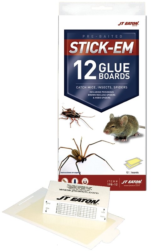 TRAP GLUE MOUSE/INSECT 12PK   