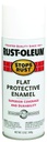 PAINT SPRAY ENML FLAT WHT 12OZ