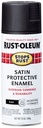 PAINT SPRAY IN EX SAT BLK 12OZ