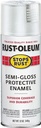 PAINT SPRAY PROT SG WHITE 12OZ