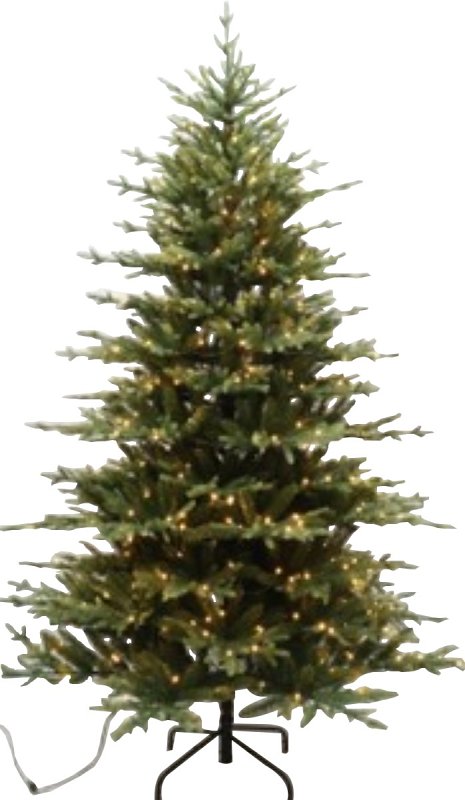 CASCADE NOBLE FIR TREE PLT 4FT
