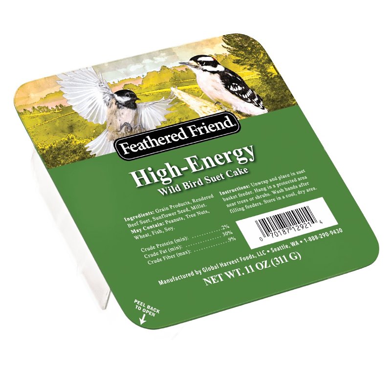 FOOD BRD SUET HI-ENRGY 11OZ   