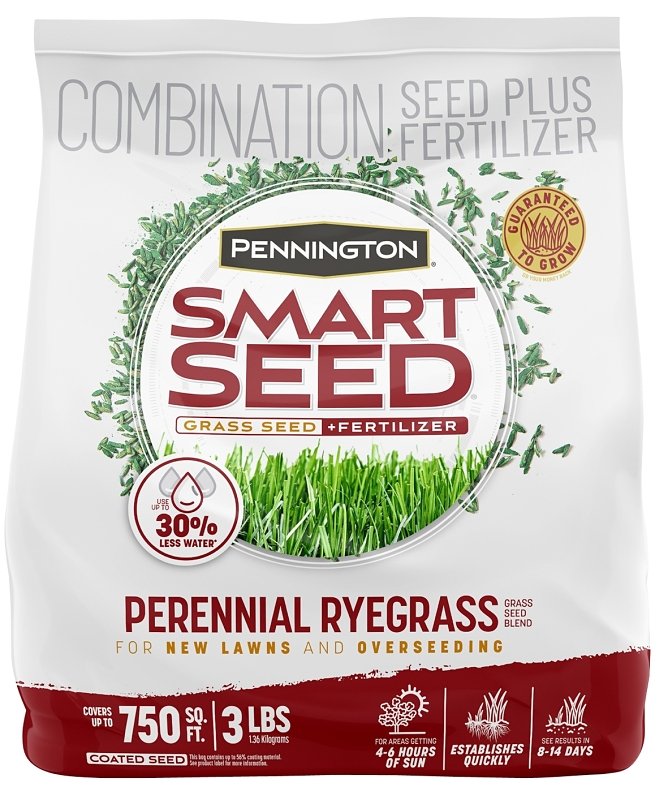 SEED PERENNIAL RYE BLEND 3LB  
