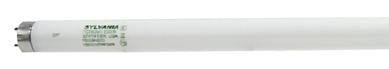 BULB LT FLUOR 32W CWHT        