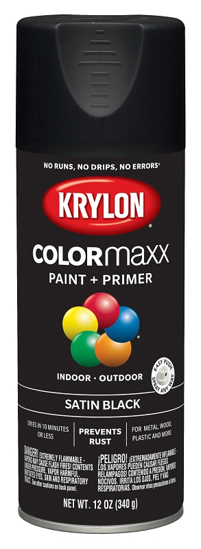 PAINT SPRY STN BLACK 12OZ     