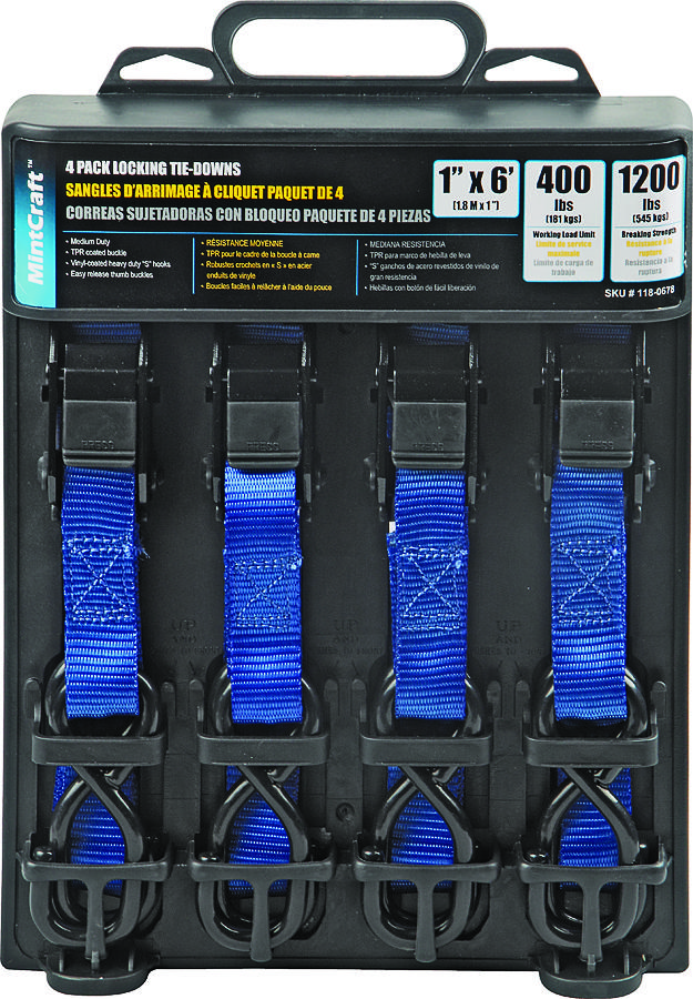 CAM BUCKLE TIE DWN 4PK 1INX6FT