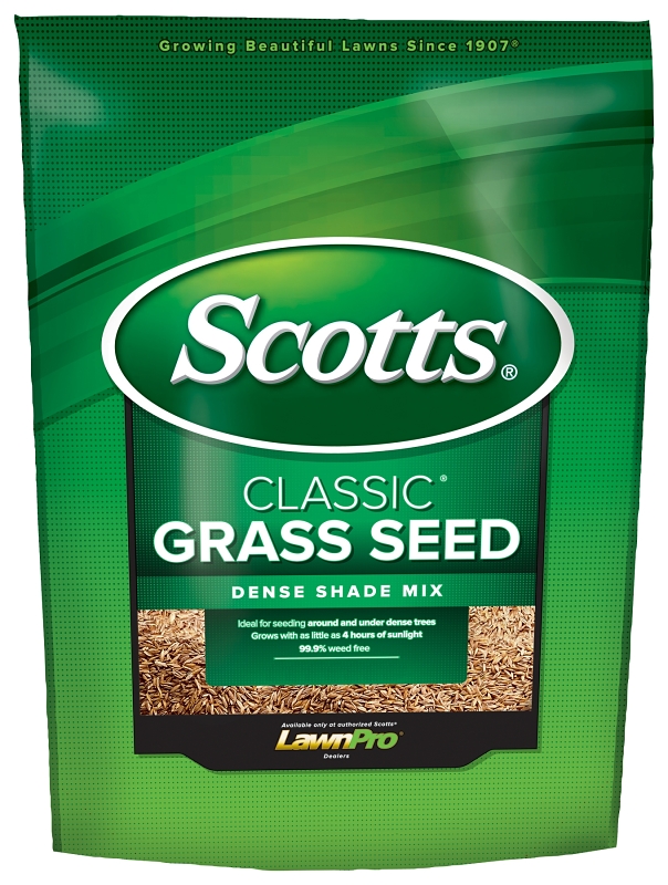 SEED GRASS DENSE SHADE MIX 3LB