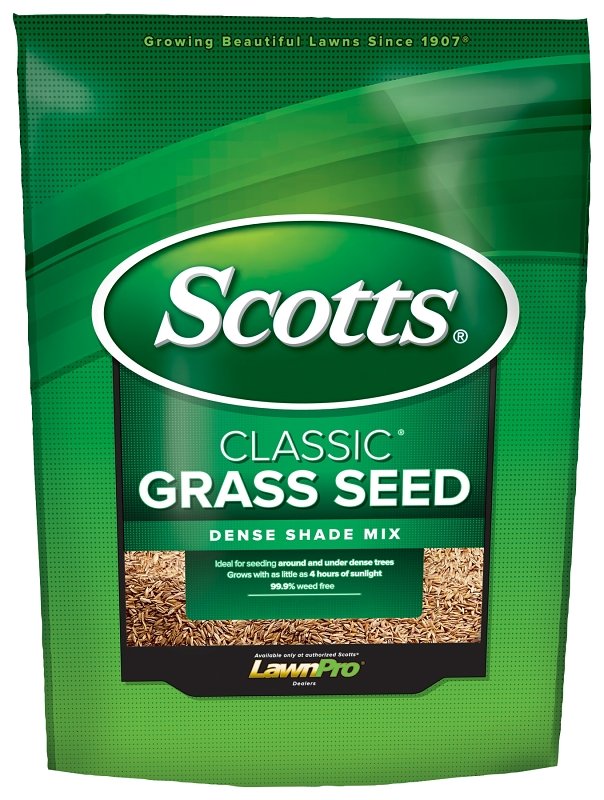 SEED GRASS DENSE SHADE MIX 3LB