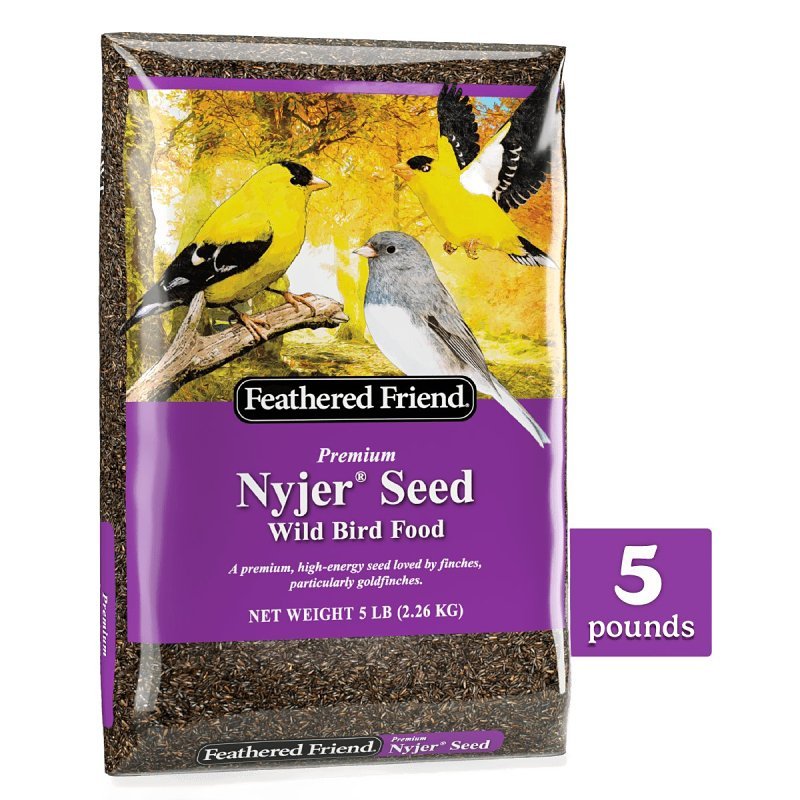 NYJER SEED FEATHERED 8/5LB    