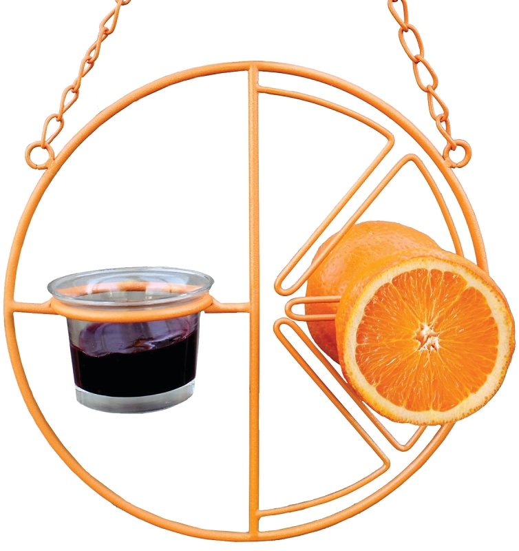 [6533376] FEEDER BIRD CLEMENTINE ORIOLE 