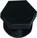 PLUG POLY MALE 2INCH NPTXHEX  