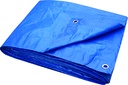 TARP BLUE PLSTC LD 30X40FT    