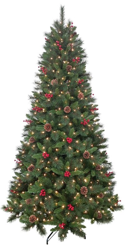 [8472920] PINE BRSTLECONE W/CONE&BRY 7.5