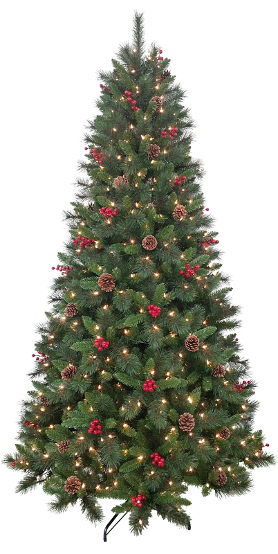 PINE BRSTLECONE W/CONE&BRY 7.5