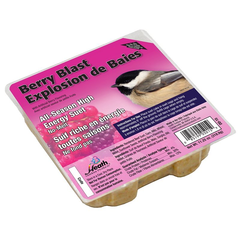FEEDER BLAST BERRY SUET       