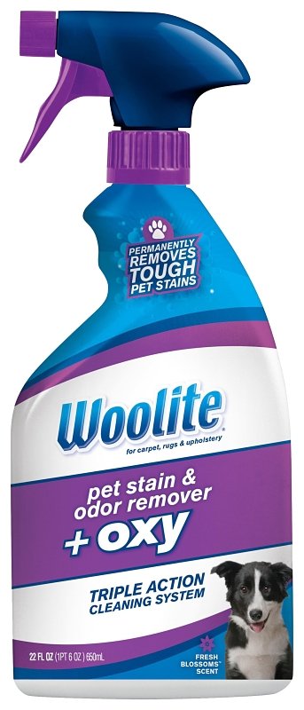 CLEANER CRPT STN/ODOR OXY 22OZ