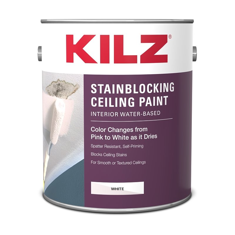 PAINT CEIL STNBLCK COLR CHG GA