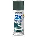 PAINT SPRAY SAT DEEP FRT 12OZ 