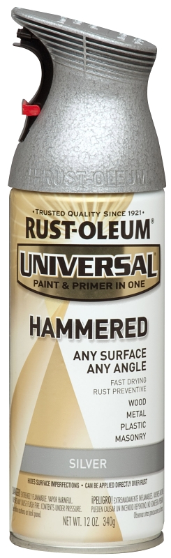 PAINT SPRY IN EX HMD SLVR 12OZ