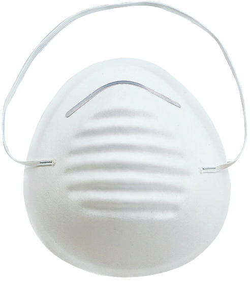 DUST MASK 5PC DISPOSABLE      